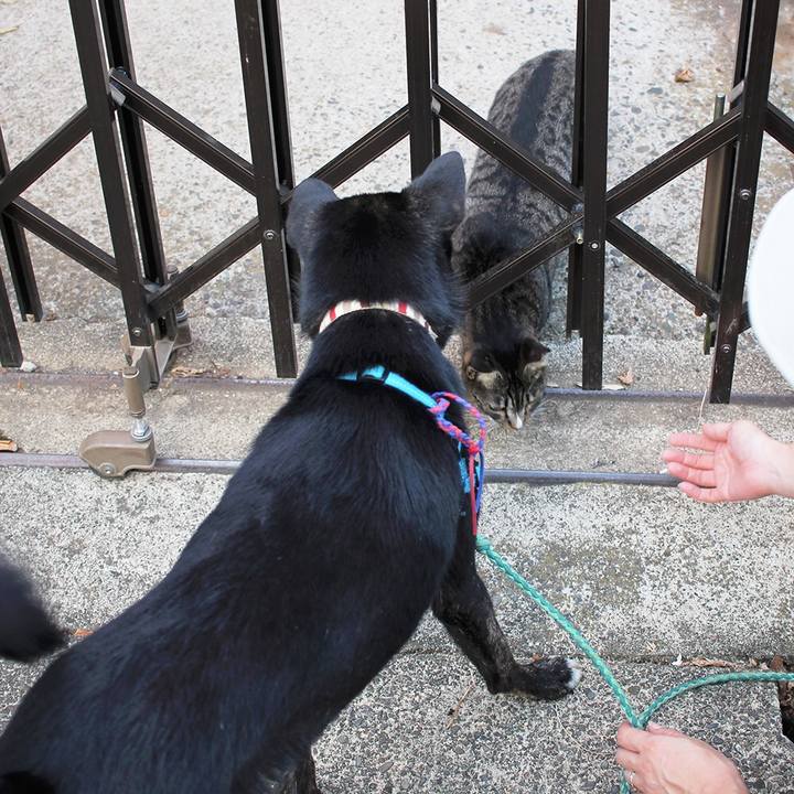 67f5db0b 4481 43dc 921e 784516d0a9af 1509795114812