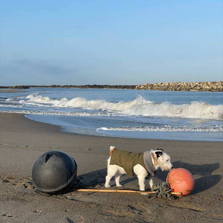 67f62577 708f 4a31 a0a4 aa2a87b38982 1615416265808