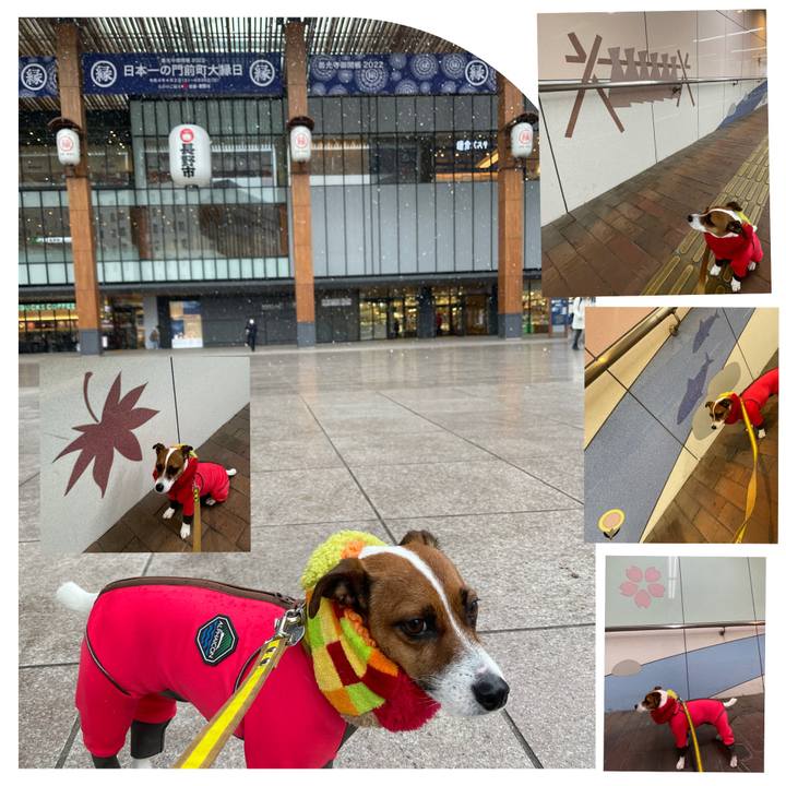 67f62f6c a202 45a3 bd30 fb065eec70e7 1645934590307