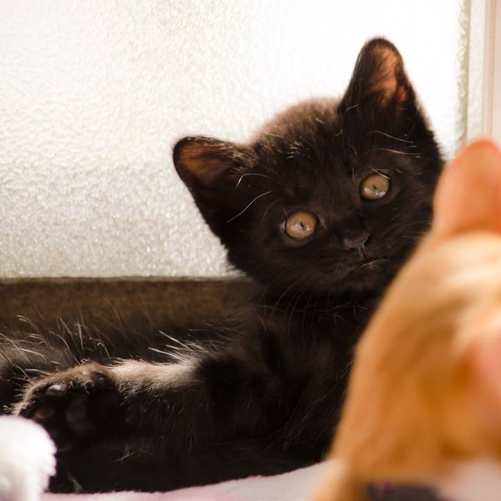 67f688c5 bc24 41c0 a365 b33c0618ff41 1512407586044