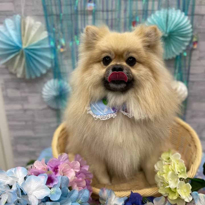 67f6ac19 a2e3 4a3c 815b 056ed548cfad 1657279881483