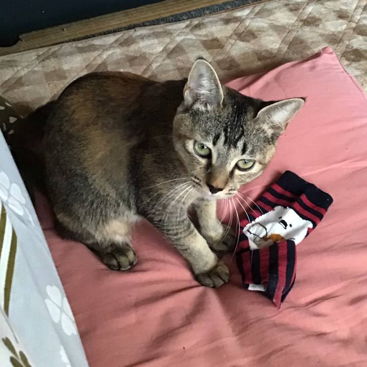 67f6c7ba 1357 4047 beb3 f7a2f97573d8 1573257661412