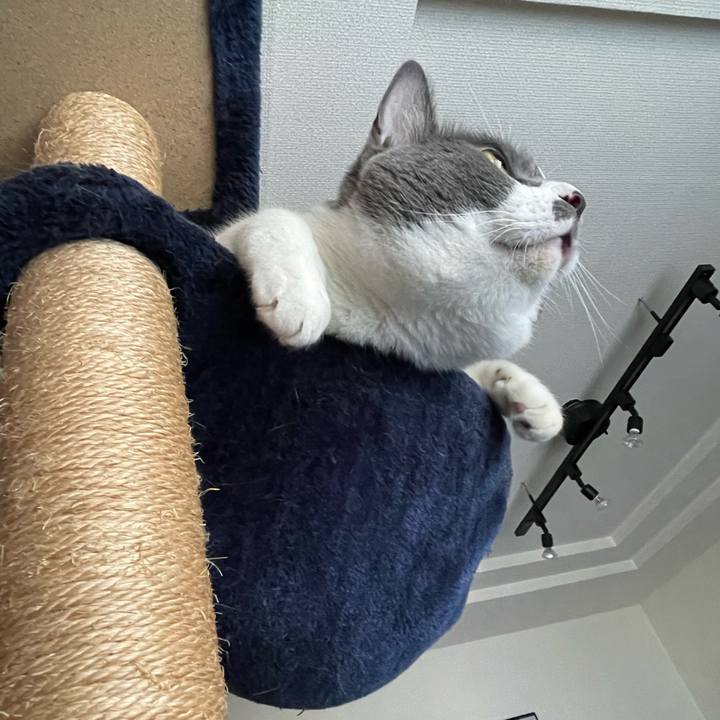 67f6cbe1 f042 48a0 8bf6 4c1ced8e3c5a 1754124407210