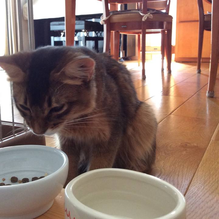 67f6d939 2a2e 49a7 86c9 dd7b5d72e81e 1564984206693