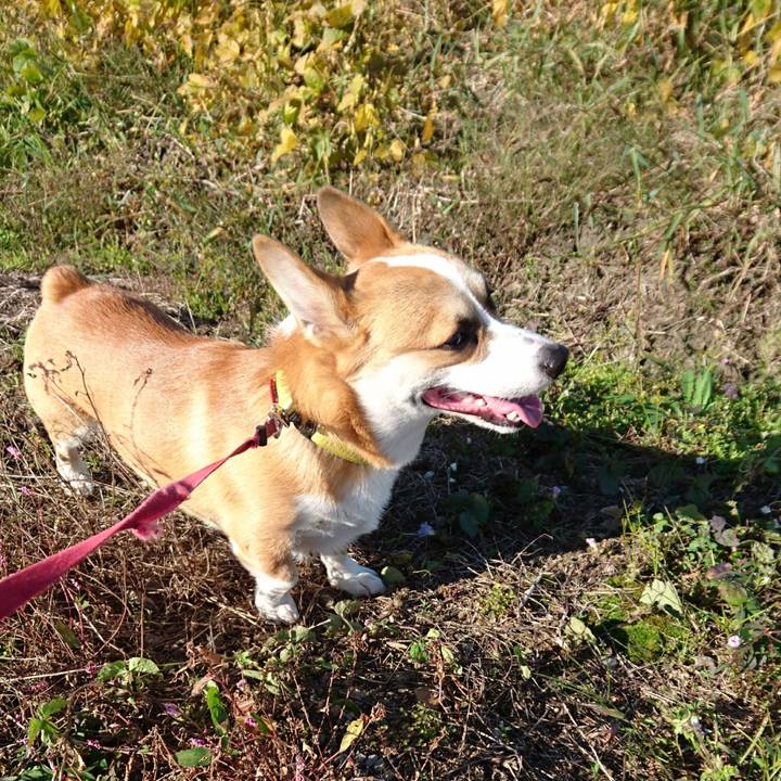 67f6dd1c cdac 4c0a b8d8 4dda81223e30 1572847255794