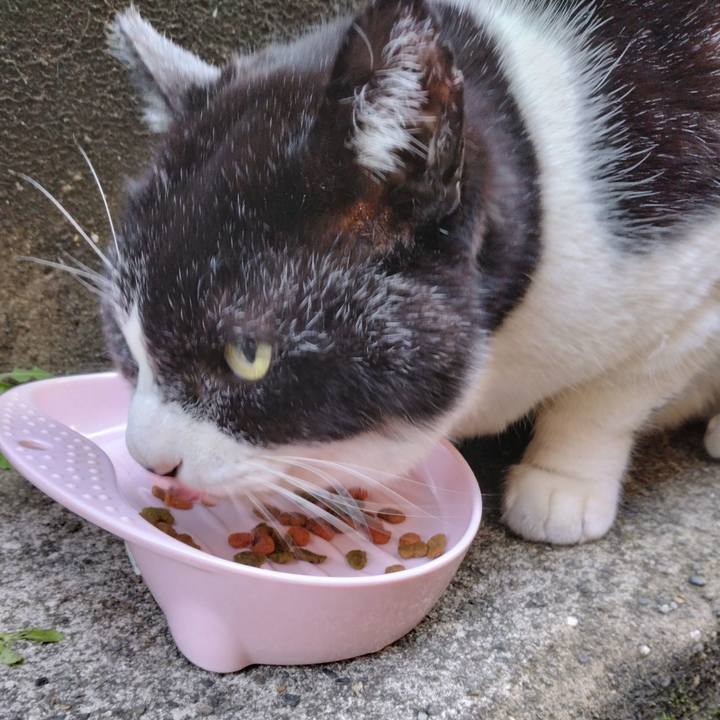 67f6e017 3b05 4d3b bfde bb4a69fb3aaa 1707302027134