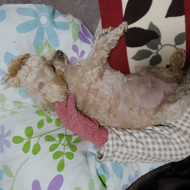 67f6f6ba 2b21 45c4 a05d 1492b15db0a9 1642218280716