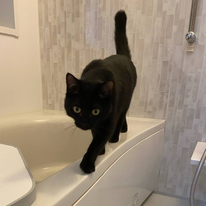 67f704be 5b15 4d9e adcf 9b8d0d6f338c 1624185406012