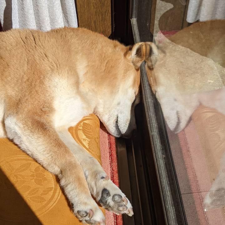 67f716d2 76c1 4e21 8792 90fd27b5bf89 1707623438411