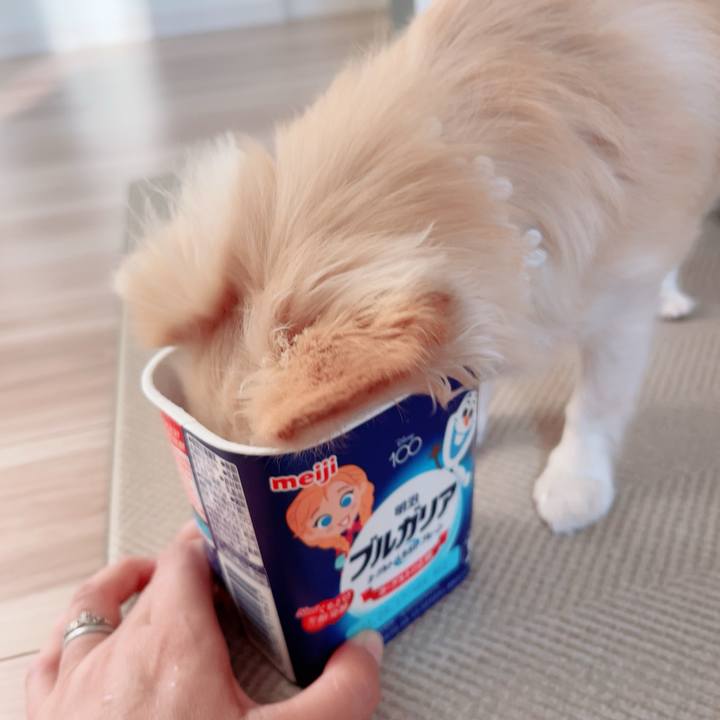 67f7185f 142e 4774 a994 4ebbfffe0009 1694504929801