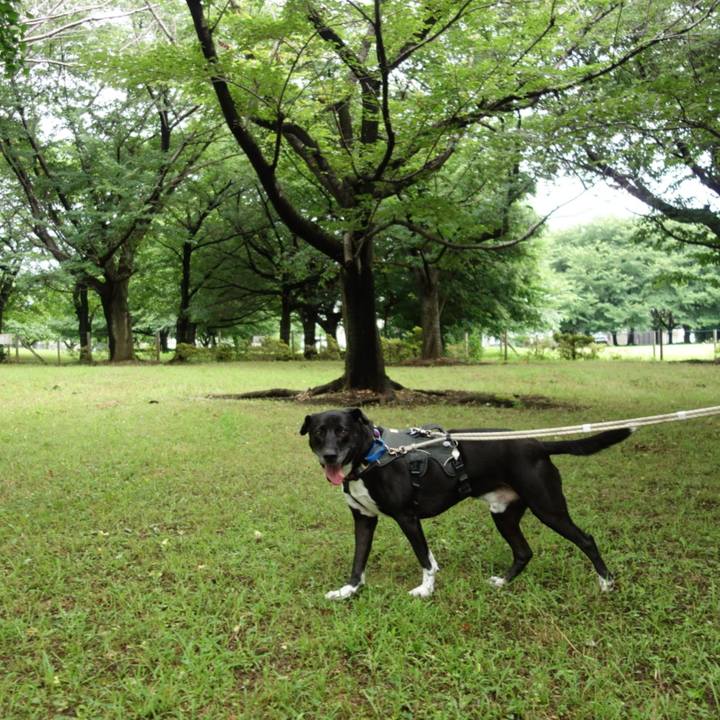 67f72a3c 6b91 4a5f 8c5c 5d7b3029404b 1657065098103