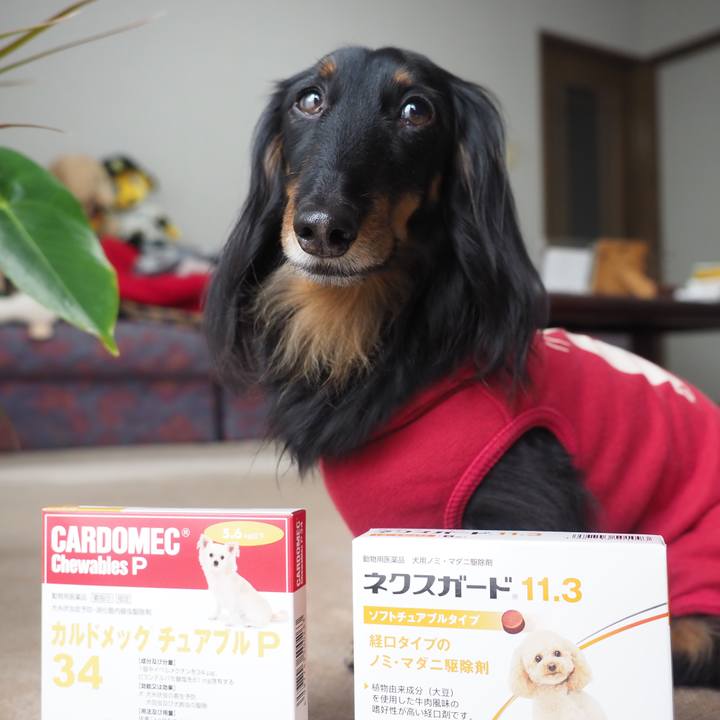 67f73002 0698 4e96 840c c75a5b763f3e 1617683585172