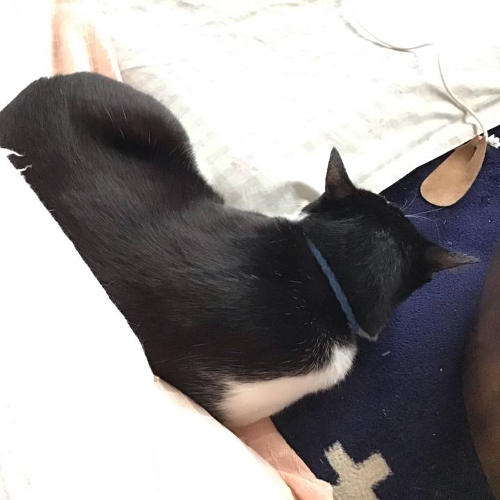 67f731a8 b1d5 49da 9ac4 1839594d9e33 1711534966633