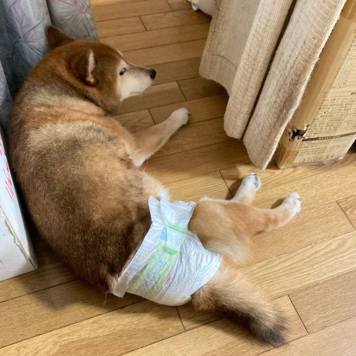 67f734c6 898d 4222 88d6 31c442b96e6d 1658190420514