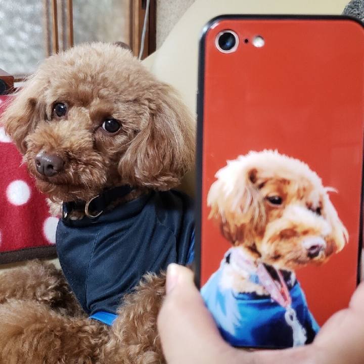 67f743d9 8e50 4c08 b336 5a78eeb8bfdc 1555393691964