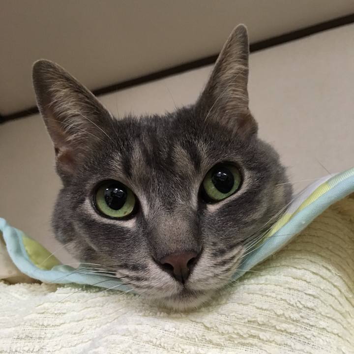 67f74507 f689 46a6 96a6 5ecf70401dab 1530191040862