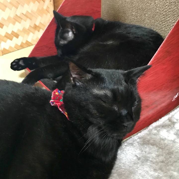 67f74bc4 8f25 40ad 80d1 46551797fd97 1529545241076