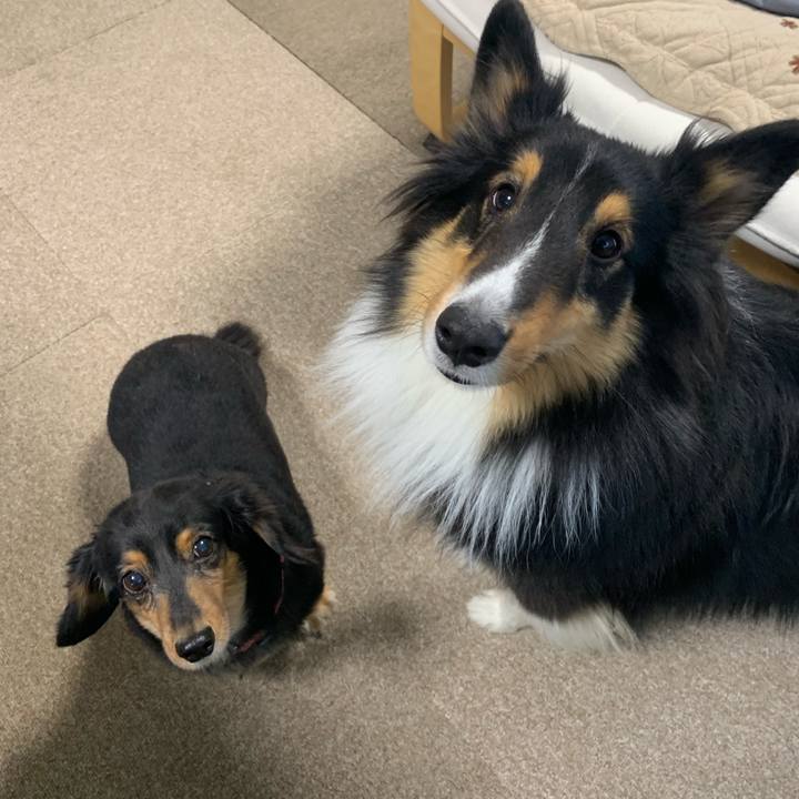 67f75b6c e367 4d1c b1e9 d7ee678a2a13 1574552913621