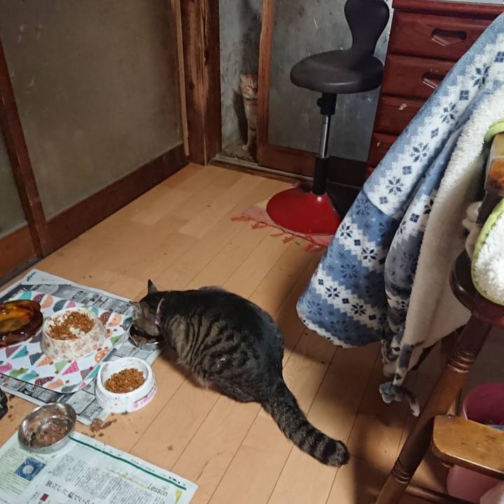 67f767f6 bf45 4ede b50c 852c78b0bb33 1652306857715