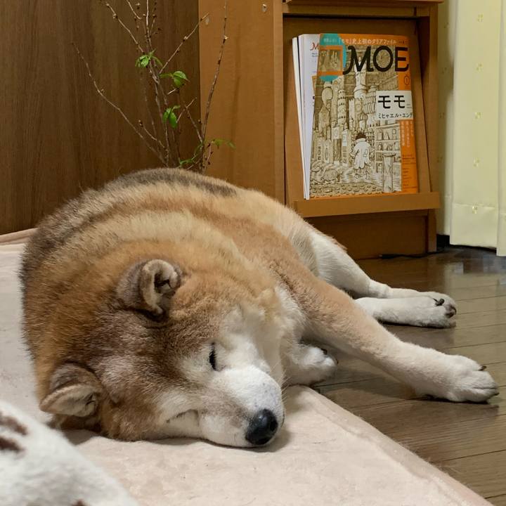 67f77cbc 2670 4595 8c35 be126ed9e80e 1613309667483