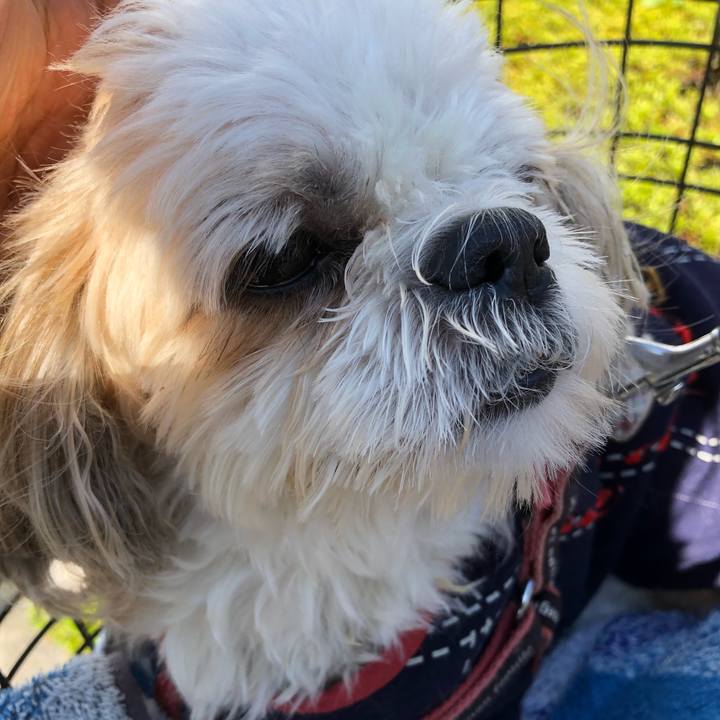 67f784a6 79f1 453b 8894 407bec4544ad 1636252213387