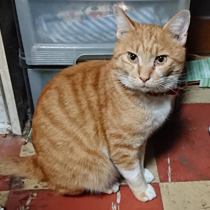 67f7b9d1 815b 4d2b b2f1 2c61511023de 1571967401833