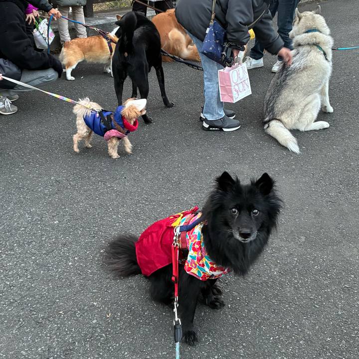 67f7ddfc bcf4 4f51 a32a 624f8f3cb722 1767279580195