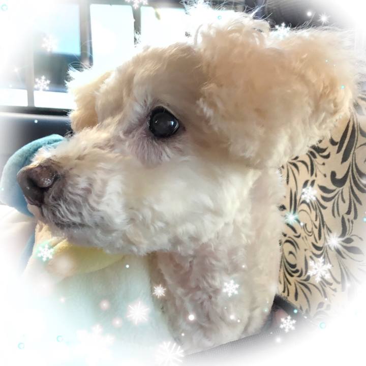 67f80bca dcfa 4a8b b762 c2e026684306 1546183395916