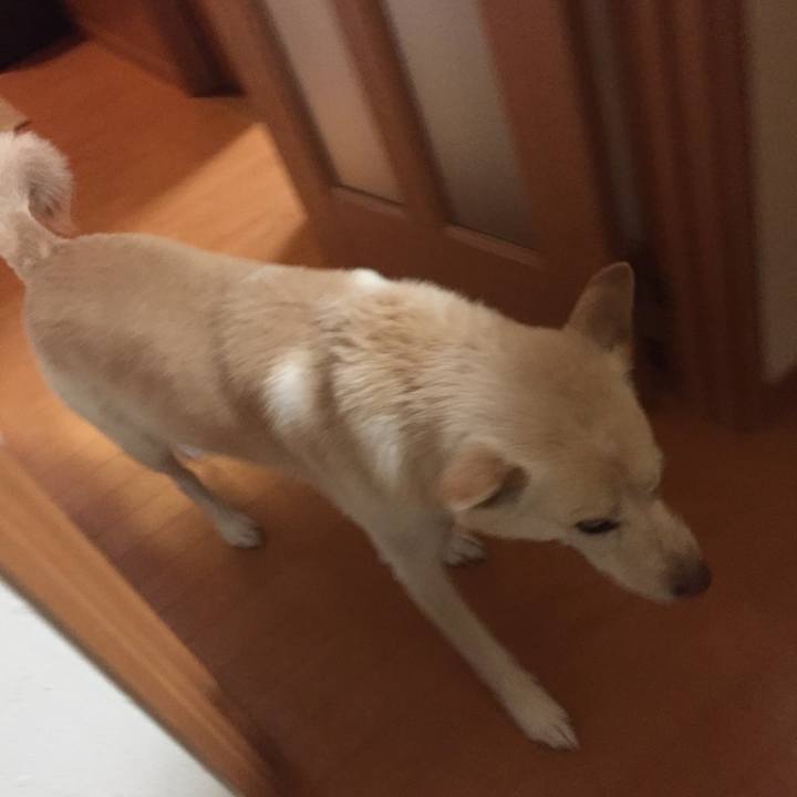 67f82244 8278 4a7c 9b70 7913b3889073 1519826700702