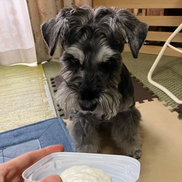 67f835a3 a34a 4c7b b3b0 e2cef8dc6ee5 1730017687565