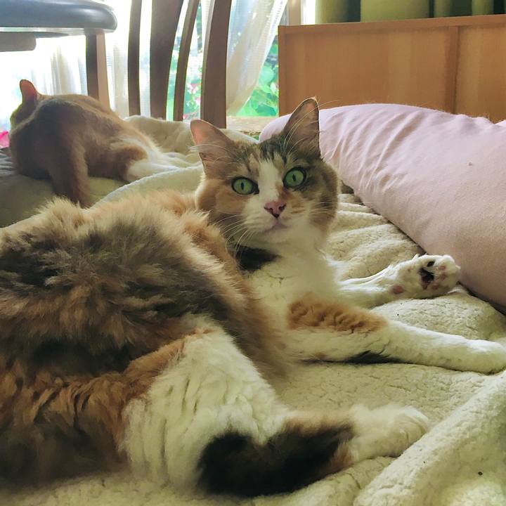 67f85ebd 9bc7 4afe 808e 519bf61c0e98 1630122012393