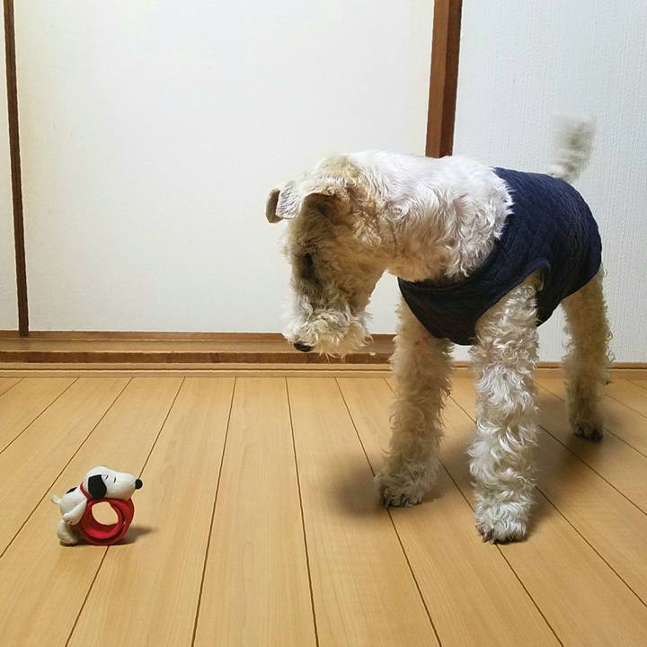 67f89584 2e5d 48c3 97f7 ba8ace2be23f 1519133112047