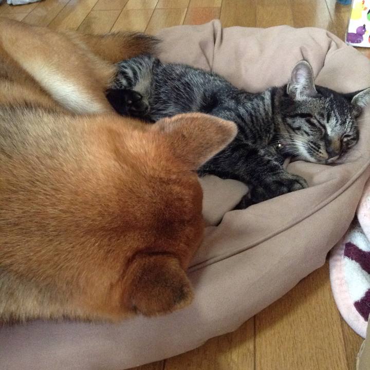 67f8dd56 2110 42a5 8f77 a8517b49f8c6 1535005938032