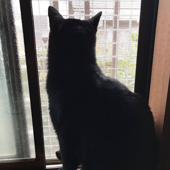 67f95db2 b663 4b70 8d1f 627682a39133 1512090193688