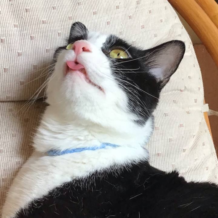 67f960f5 484f 4ed4 83c7 2e872a4923b4 1722416368254