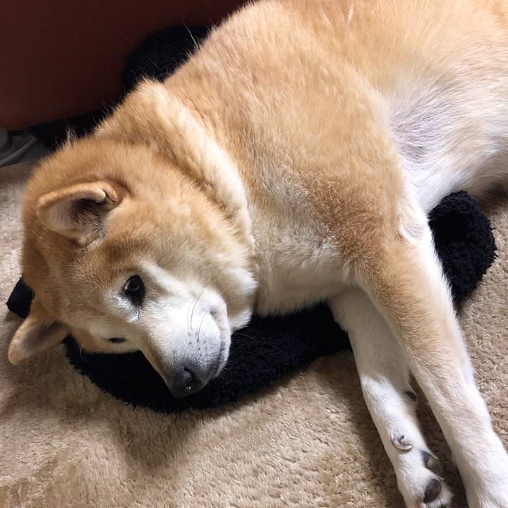 67f977e9 112a 4258 80e4 5ba3b6c35ec8 1579179327457