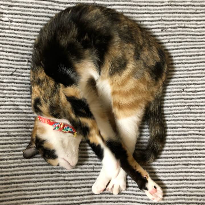 67f97f87 441f 4872 8283 1aed79f8a21c 1559382249323