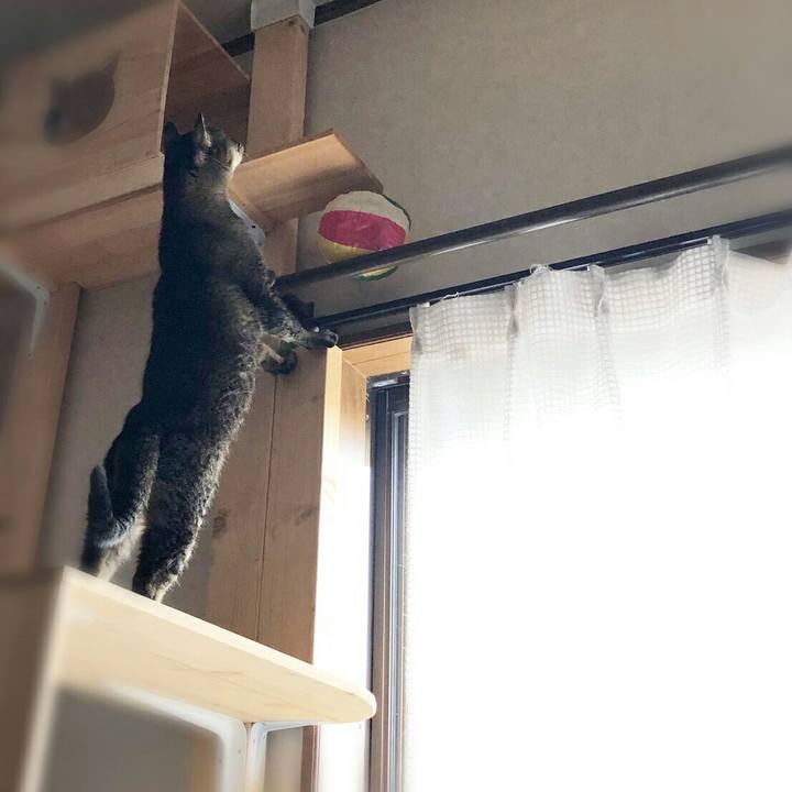 67f99adb f143 4735 a96c 84e37c4239f4 1581058466950