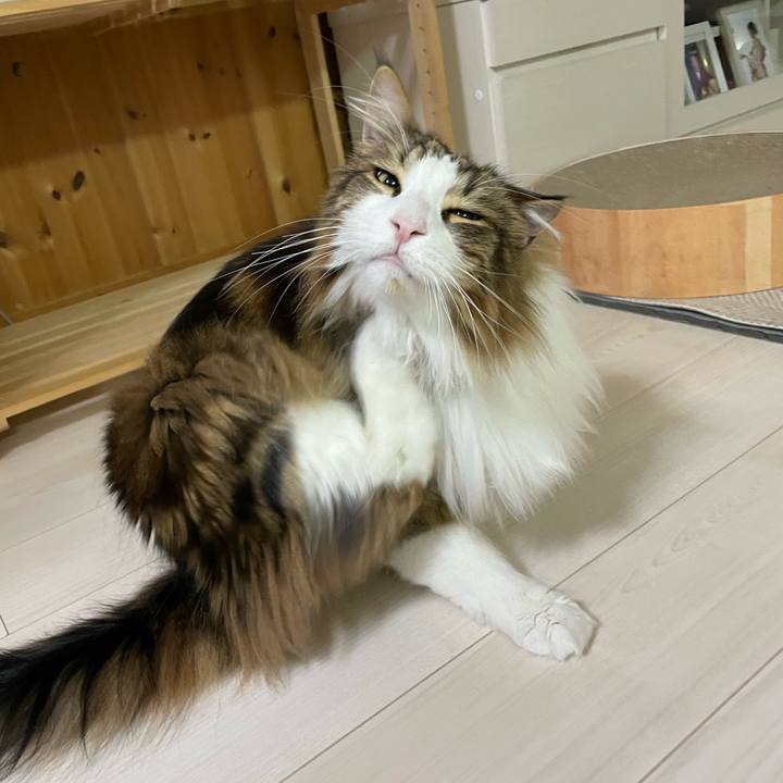 67f9a997 3014 410c 8370 1e4e66a59956 1682452592389