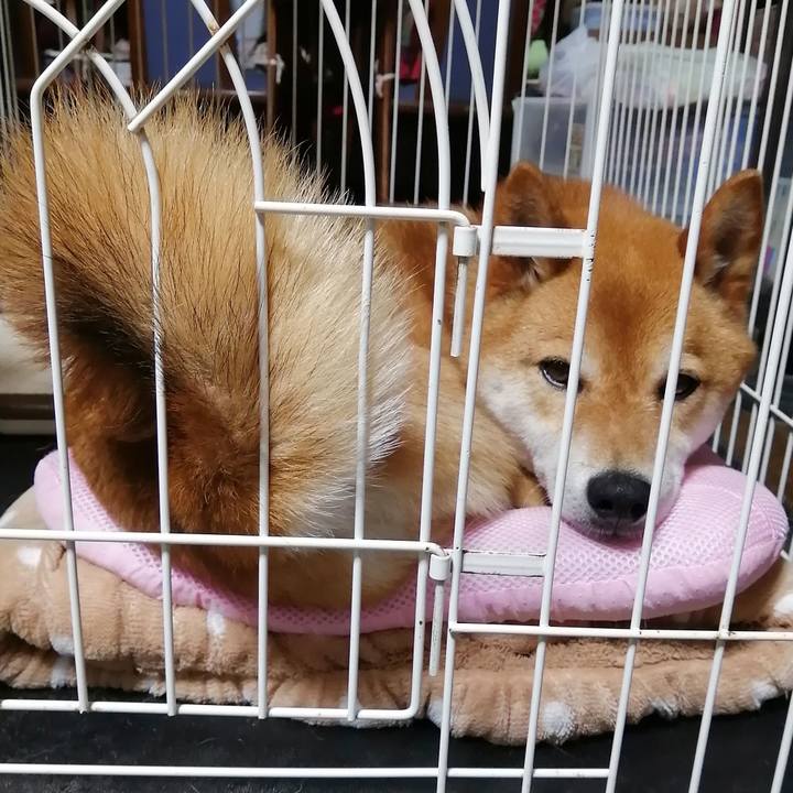 67f9d305 b9da 4106 98f8 c7982d0edc5b 1590886211577