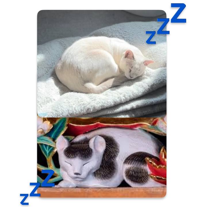 67fa3a26 a7f3 4d45 a795 bb1d8ed74aa1 1741497130667