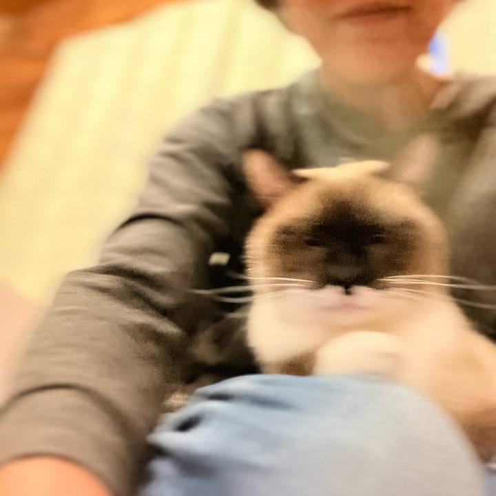 67fa954a 7cd4 4af0 a664 35a7a96ee790 1731829278640