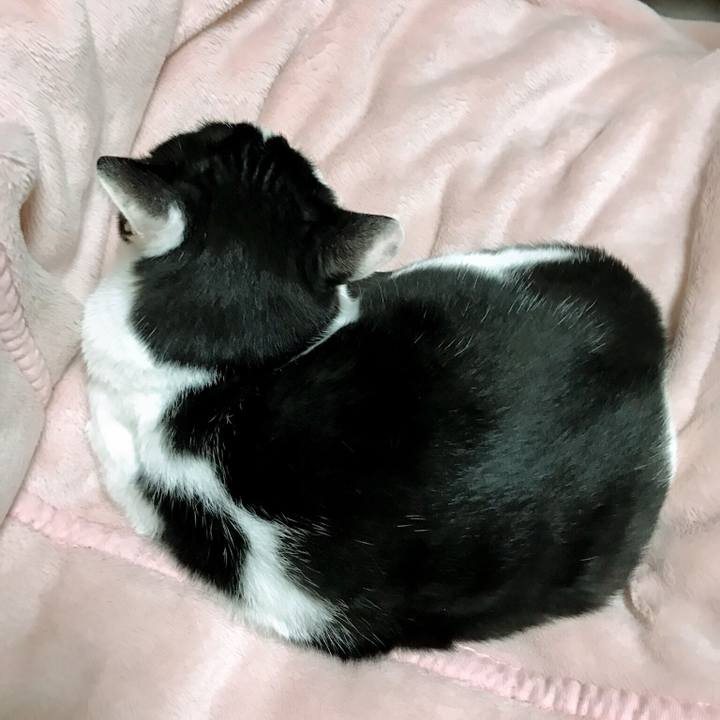 67faab43 d6cd 4f2a 976d 00daffc4b7e9 1510269214820