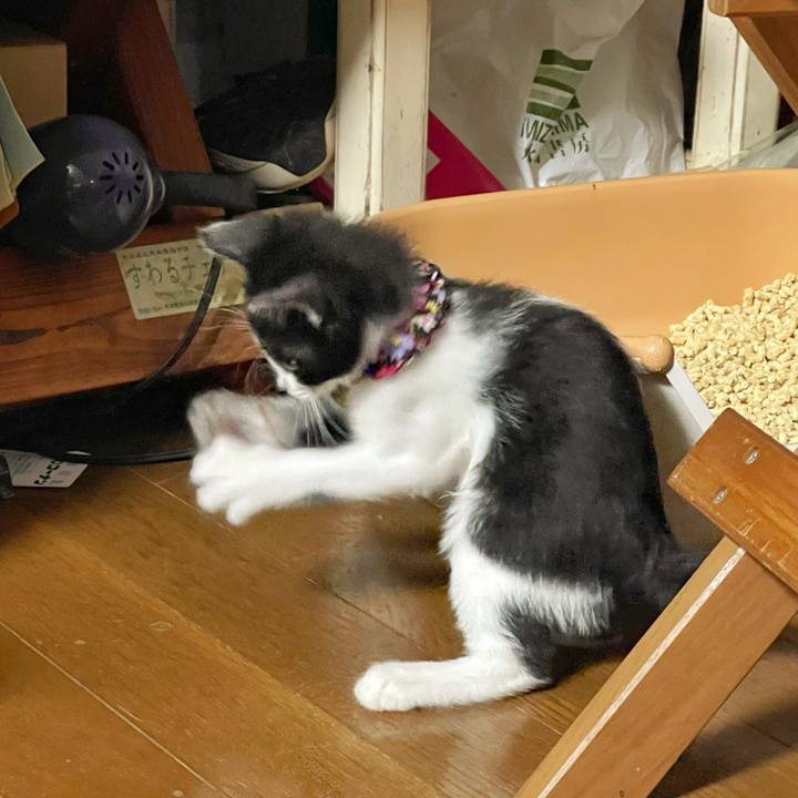 67fad377 0a89 42c4 bd84 b9cdb1eafdfb 1698704807836