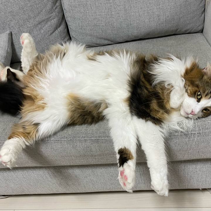 67fade1c 89d4 41e0 ba91 6da7a954a49a 1699557669370