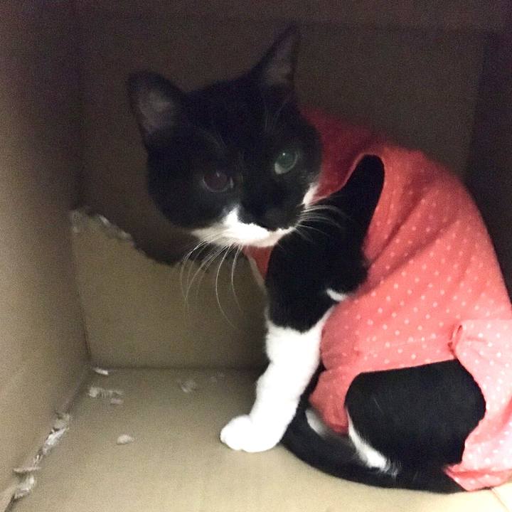 67fb0f3b 8a7e 44d0 9fe8 97febea17421 1597720560061