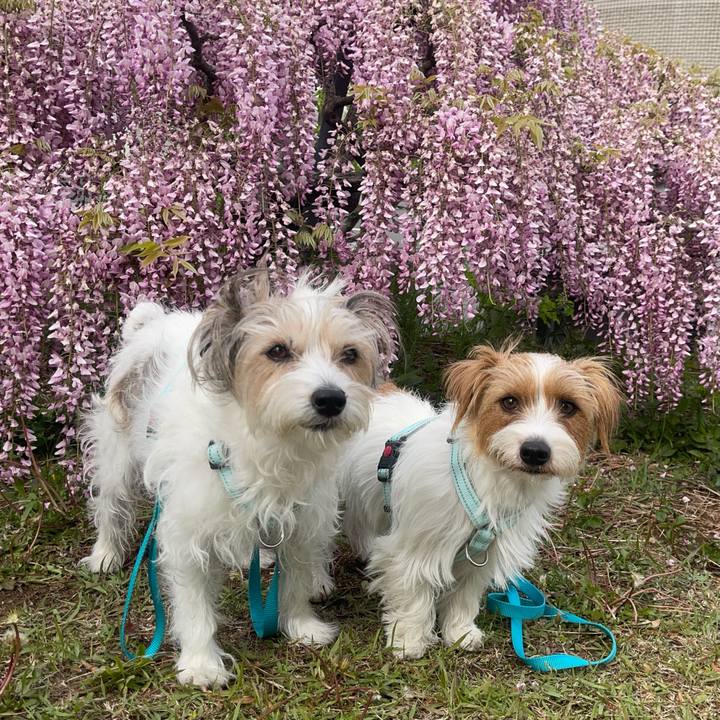 67fb1121 f1b9 4c9a a92d b012ba343618 1777069727595