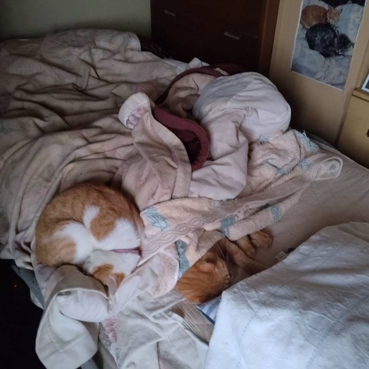 67fb2ce3 62b5 46b5 8d23 accc79197238 1746309005099