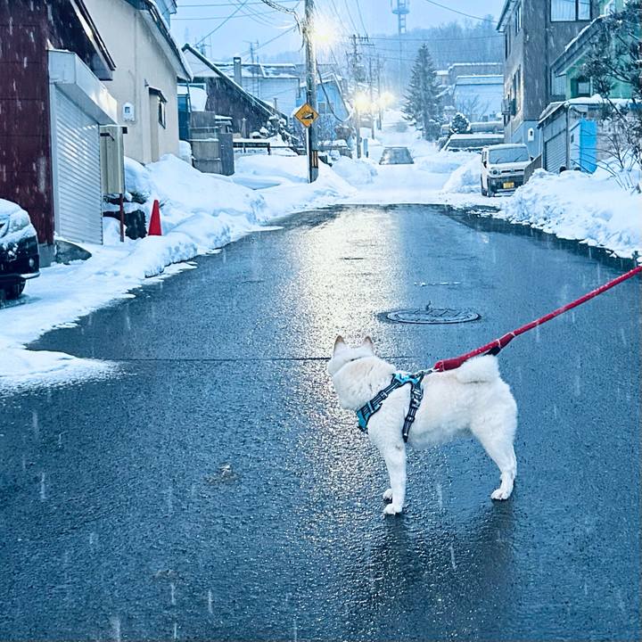 67fb3fcc ee19 4fdf 8f89 f9446062e06c 1736117795296