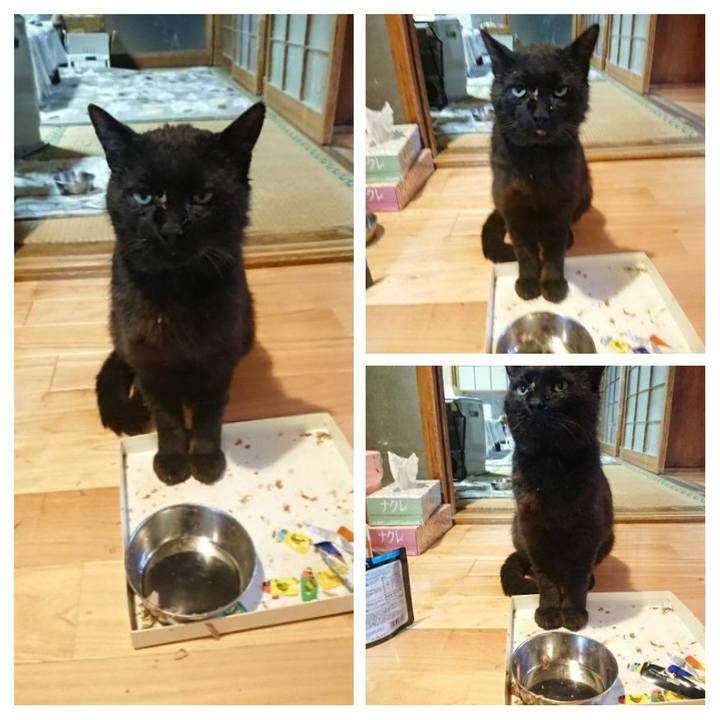 67fb42c4 b301 4555 b3b4 994b76cbb199 1623580386751